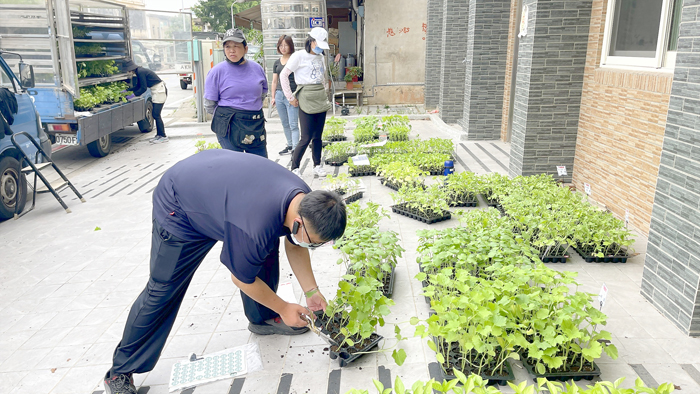 農試所巡迴四鄉鎮提供定點售苗服務。（陳麗妤攝）