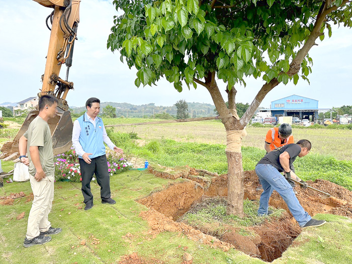 林務所進行綠美化路樹移植作業，縣長陳福海到場關心並慰勉工作人員。（林務所提供）
