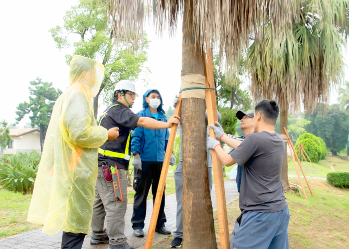 林務所開辦「自掃門前雪」植栽管護研習課程,邀請專家蒞金分享,帶領地區各機關單位學校代表,學習四季植栽管護、樹木修剪技巧。(林務所提供)
