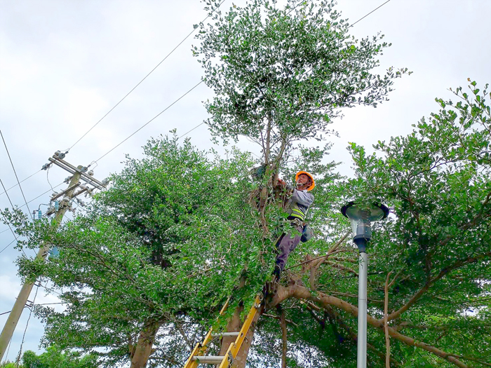 「凱米」颱風暴風圈帶來間歇性雨量，台電人員持續巡檢用電戶供電饋線。（台電金門區營業處提供）