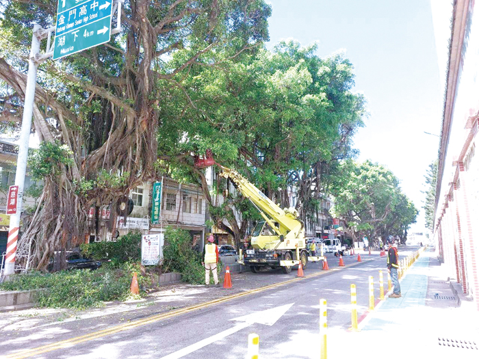 颱風前後,林務所依據縣長陳福海指示,針對行道路樹進行修剪工作。(林務所提供)