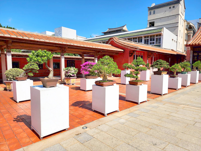 金風盆藝展於浯江書院展出。（許峻魁攝）