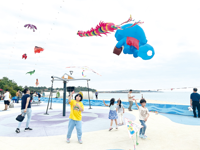 各式造型風箏在烈嶼天空飛舞。（許加泰攝）