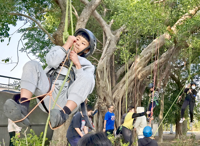 賢庵國小邀請「上杉夏海本然教育團隊」舉辦了別開生面的攀樹體驗活動,讓學生進一步感受到大自然的魅力與生命的力量。(賢庵國小提供)