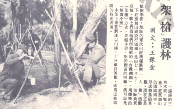 架「槍」護林。(圖文/王豫金,75年3月12日金門日報)