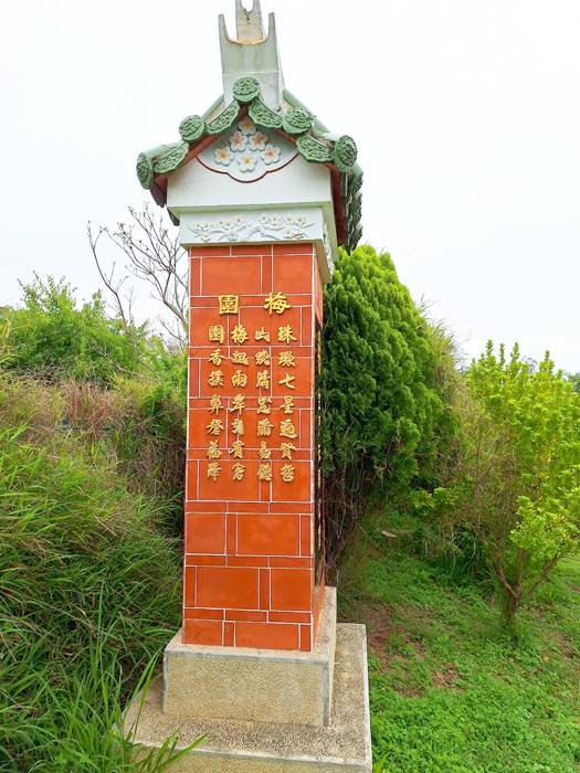 珠山梅園青梅。(蔡麗玉攝)