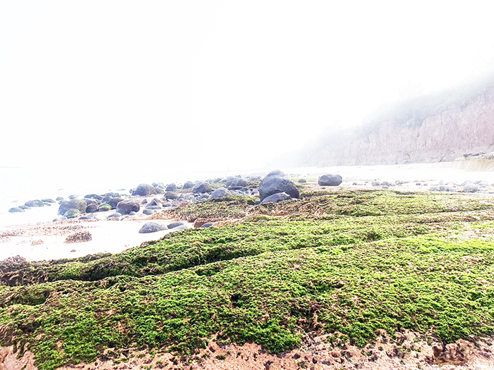烈嶼青岐南山頭獨特的玄武岩地質以及「綠石槽」海岸的獨特「亮點」景觀。
（許加泰攝）