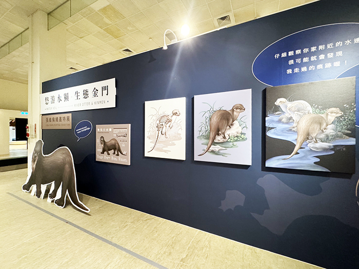《悠游水獺.生態金門》張維倫繪畫特展刻正於文化園區展出中。
(文化局提供)