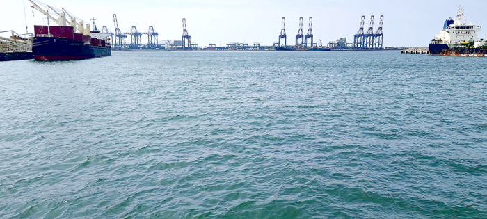 烏來阿嬤親手包製500顆素粽，透過冷鏈配送運抵金門。
（旅台鄉親李台山提供）