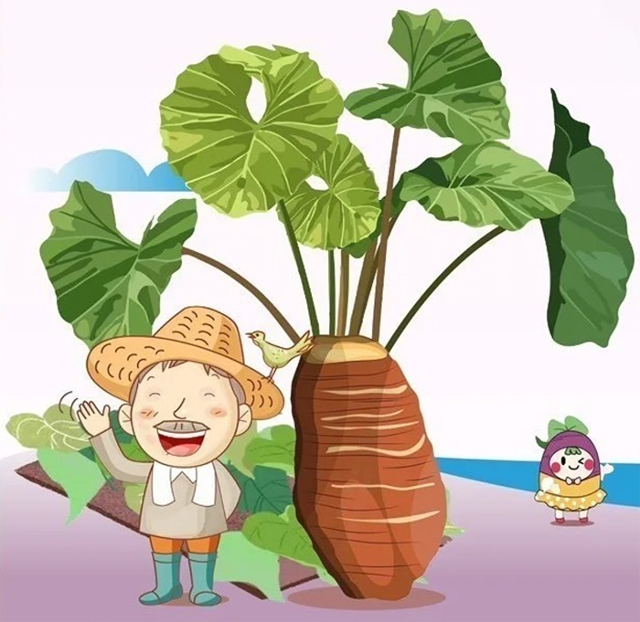 招商海報截圖。(烈嶼鄉公所提供)
