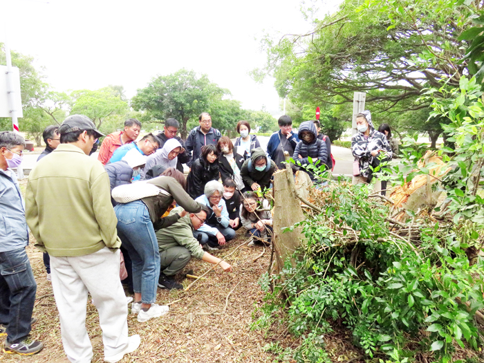林務所辦理「114年度樹木保護專業人員培訓課程」。（林務所提供）