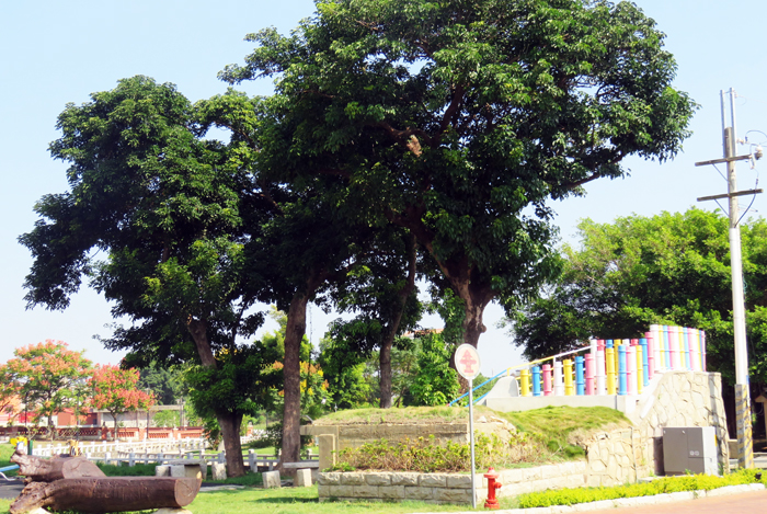 瓊林社區執行綠美化補助的情形。
（林務所提供）