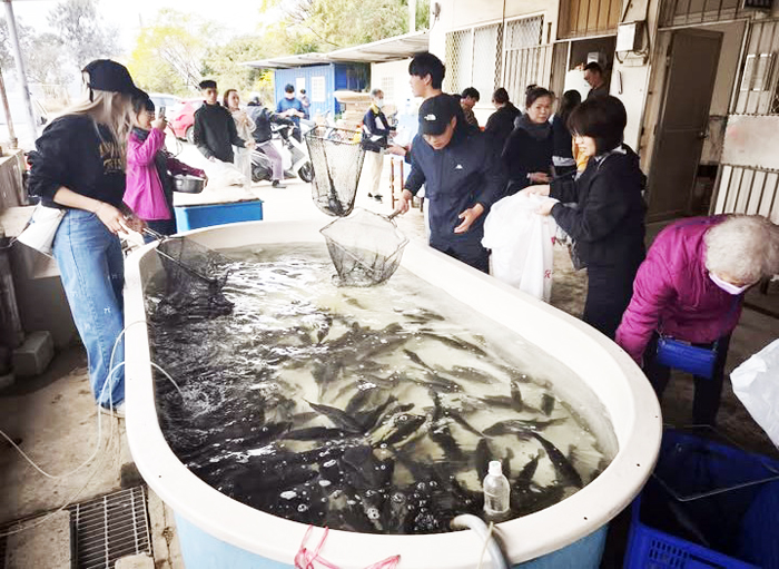 金門農工養殖科日前舉辦養殖漁產品販售，現場開賣由學生親自飼養的加州鱸魚。（翻攝金門農工養殖科臉書）