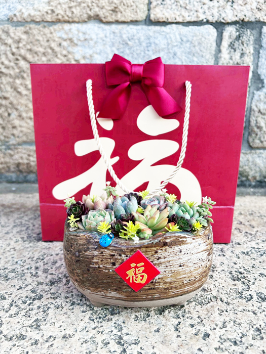 「景天多肉植物」盆景。（林務所提供）