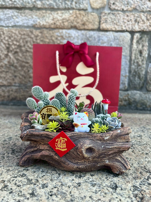 「仙人掌多肉植物」盆景。（林務所提供）