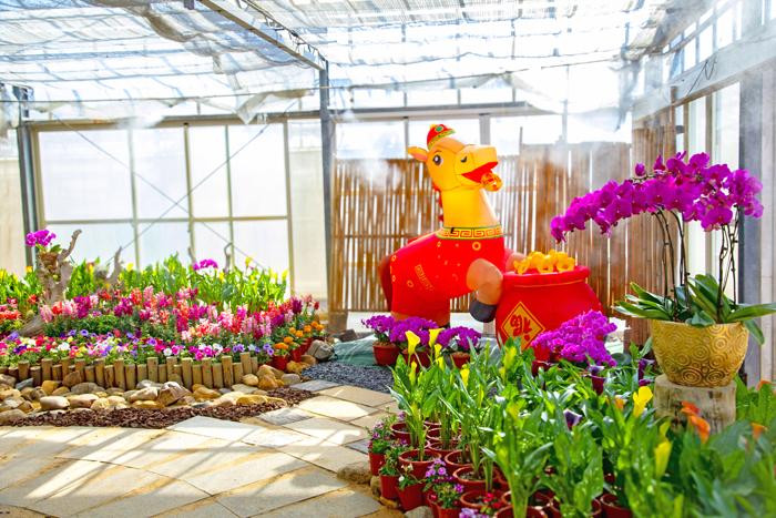 林務所迎新春農業展活動以「金馬奔騰」為主題，在森林公園內推出馬年造景，並有多項結合公益的體驗和手作活動，歡迎鄉親闔家到訪走春。（林務所提供）