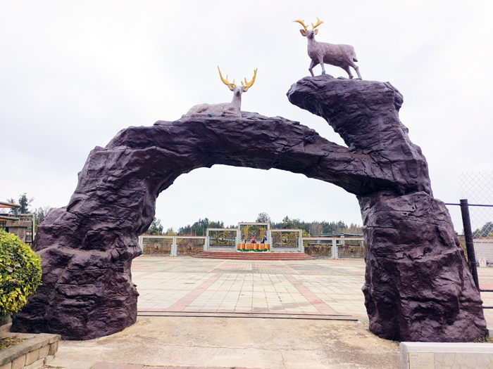 畜試所於「馬力全開，迎向未來」迎新春農業展期間推出拍照打卡兌換園遊券。（畜試所提供）