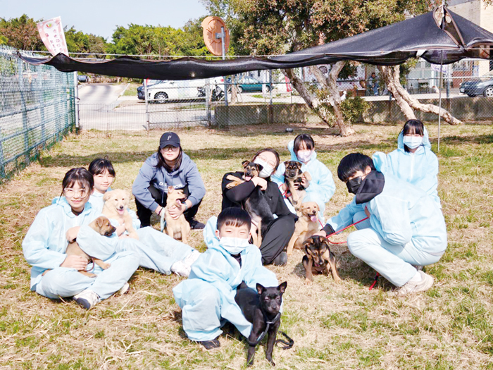 「獸醫志工少年營」吸引國小至高中學生參與。（金門縣獸醫師公會提供）