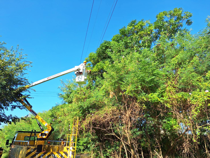台電加強維護線路。（金門區營業處提供）