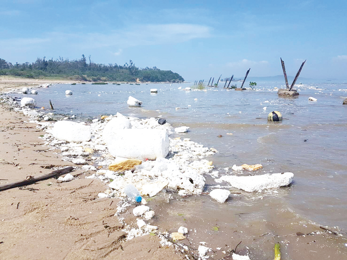 金門受到季風與洋流的影響，來自大陸的海漂垃圾不斷上岸，嚴重破壞海域環境景觀。（李金生攝）