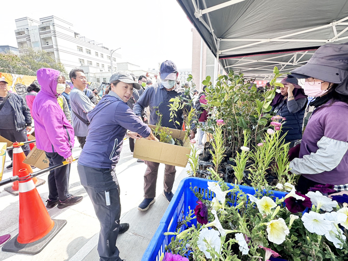 金湖換苗。（金湖鎮公所提供）