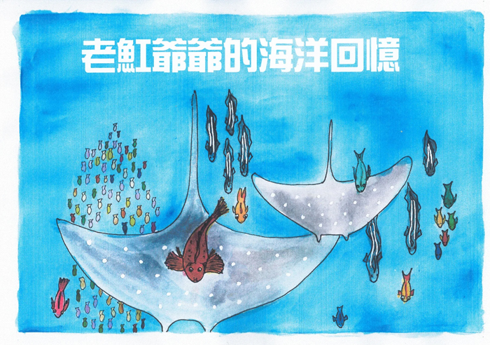 全國海洋科普繪本競賽，金門縣代表隊獲多項大獎。（金門縣戶外教育與海洋教育中心提供）