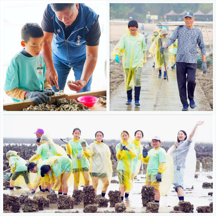 右上、古寧村長李開陣帶著學子踏入蚵田；下、金鼎師生走進蚵田；左上、金寧鄉長楊忠俊帶領學子學習剝蚵。（金寧鄉公所提供）