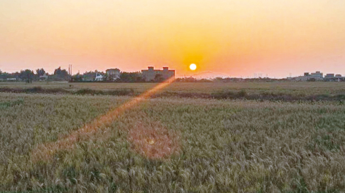 九日至十二日氣溫回升。（示意圖／蔡麗玉攝）