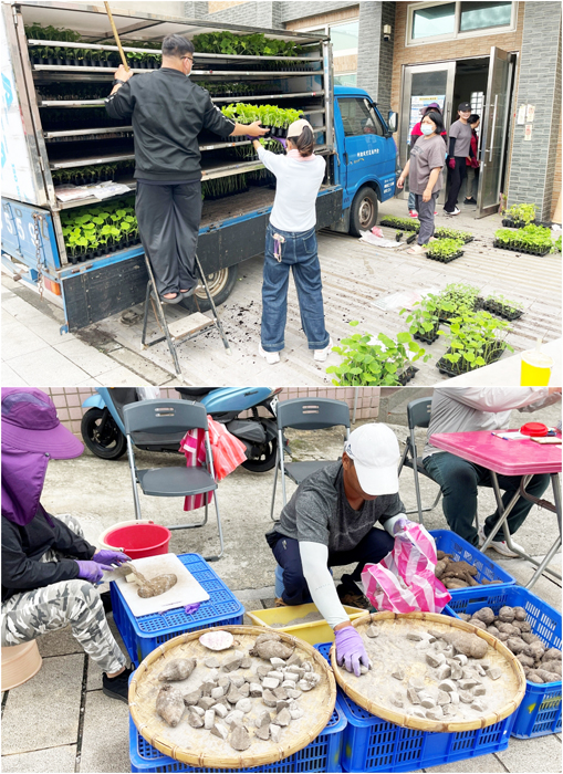 農試所「115年春季蔬菜穴盤苗下鄉價售服務」吸引不少鄉親前往購買。（陳麗妤攝）