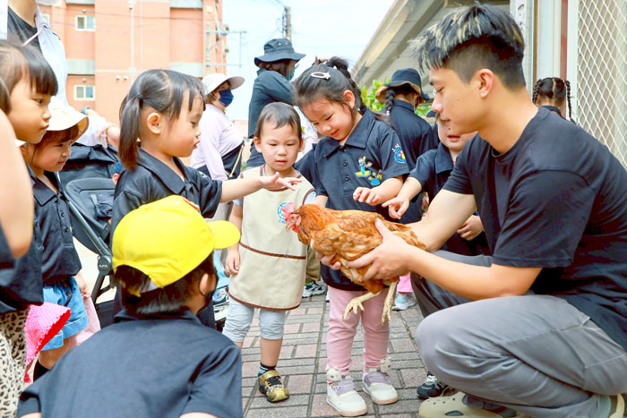 上岐幼兒園展開「金門土雞探險趣」食農生態體驗之旅。（上岐國小提供）
