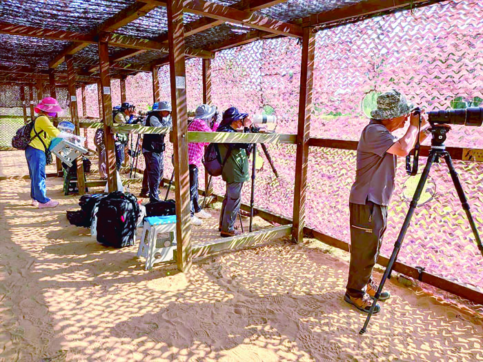 「金門鳥人課程」透過鳥類辨識、棲地調查、生態紀錄與環境觀察等實作課程，帶領學員親身感受金門獨特的自然環境。（社區大學提供）
