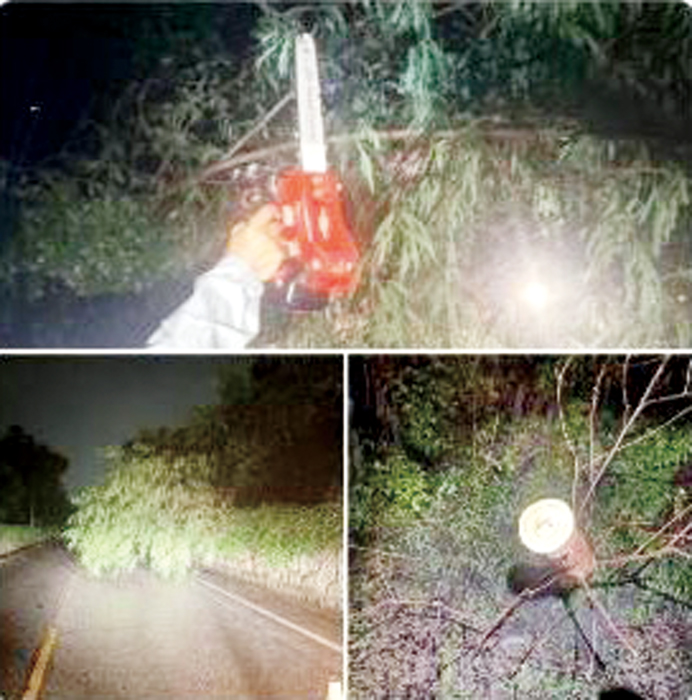 林務所工班第一時間清除路倒樹。（林務所提供）