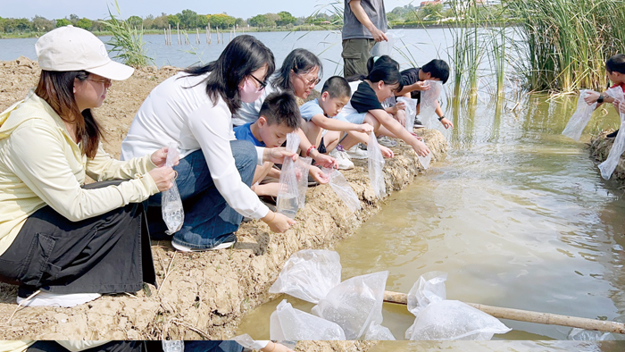 小朋友將復育後的攀鱸野放陵水湖。（金管處提供）