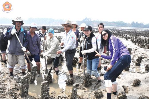 金門國家公園管理處昨天假古寧頭辦理石蚵採收與石蚵美食體驗活動,邀請六十一家民宿及賣店業者分組下海學習擎蚵、剝蚵的樂趣。(李金鎗攝)