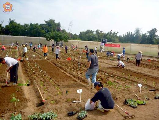   農試所金幸福開心農場田園耕種體驗，第一梯次進入尾聲，第二梯次錄取結果揭曉，訂於六月一日舉辦啟用典禮。（圖由農試所提供）
