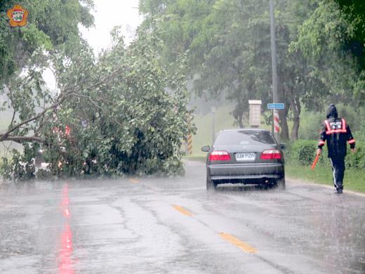 環島北路警光會館附近出現風倒木後，警察在兩端指揮交通。（張建騰攝）