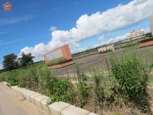 環島北路路標以西的金沙水庫，花台和花圃常常長著長長的亂草；圖中的景象暫時已不存在，因為三、四天前已被剪平。（張建騰攝）