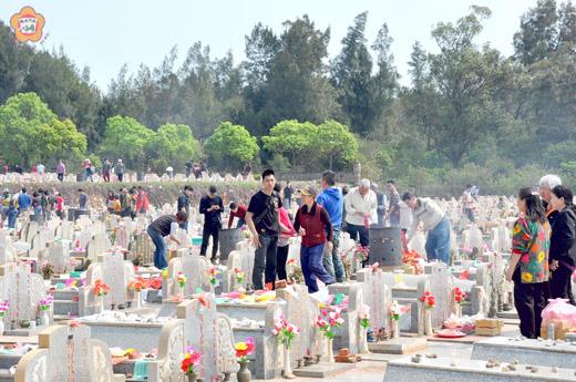 昨日是清明節，金城、金山公墓觸目可見上墳人潮，表達一份孝思的心意。（許加泰攝）