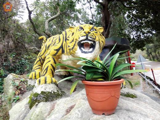 金東虎即將走入歷史
　圖文／張建騰