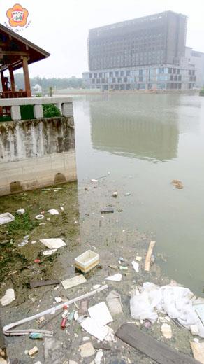 雨後的小太湖變成了漂浮的垃圾場。（張建騰攝）