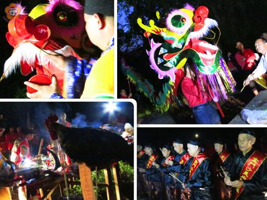   沙美「內閣三忠廟」於奠安首日清晨五點進行「追龍」儀式。右下圖為參加儀式的長老們；左下圖為被採雞冠血的「王爺雞」。（張建騰攝）