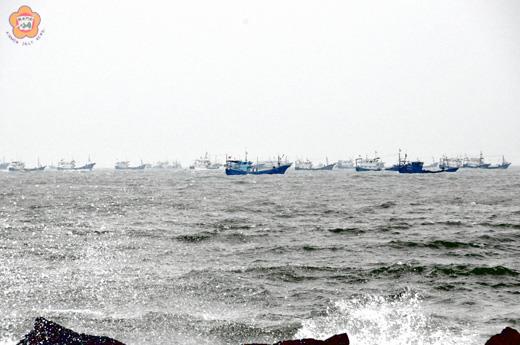 近百艘大陸漁船越界進入金門海域捕魚，海域滿佈漁船。 （莊煥寧攝）