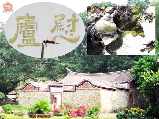 榕園因為有慰廬,就不只是園林和生態而已,還有人文底蘊。(張建騰攝)
