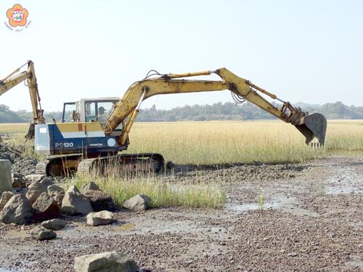   維護地區海岸生態，縣府持續辦理中蘭海濱外來入侵植物互花米草移除作業。（建設處提供）