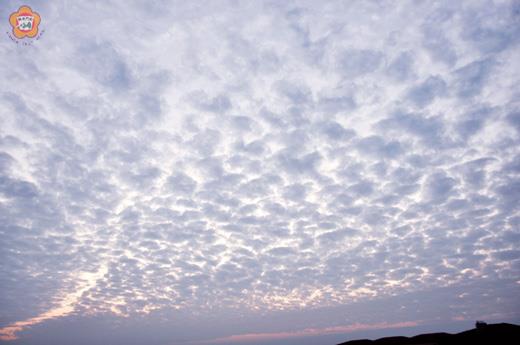 好美的魚鱗雲﹗
李增汪／圖文