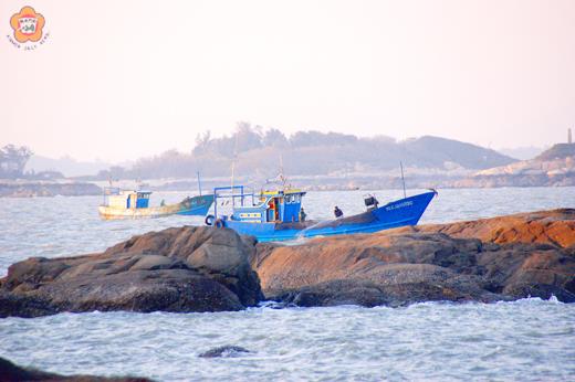 位於金門東北角的山后村海域昨出現大陸漁船越界捕魚的狀況，漁船幾乎就要搭上岸際礁岩，彷彿隨時都可以登陸金門島，當地民眾拿下相機清楚的記錄下閩龍漁08896的船隻編號。（照片由王姓民眾提供）