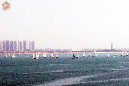 金門帆船隊參加大陸「通仙盃2015廈門新年帆船賽」，在高手環伺下全力拚博，榮獲季軍接受頒獎合照。（金門大學提供）