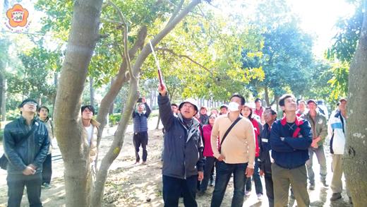   林務所辦理林木修剪研習會，邀請農委會林業試驗所經營組邱志明博士主講並與學員一同實地演練林木修剪作業，並發現中空的危險樹木。（林務所提供）