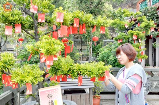 海印寺祈福樹香客新年新希望
圖文／楊水詠
