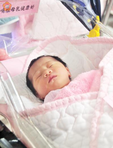 這個羊年囡仔是父母第一個愛的結晶。（張建騰攝）